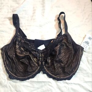 CHANTELLE Rive Bra NWT 40G